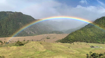 Fall 2020 Allocation - Panama Kambera Gesha