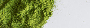 Matcha - Now at PRESS!