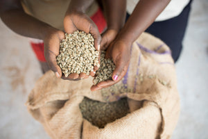 Coffee Farm 3