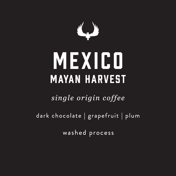 Mexico mayan harvest coffee by Press Coffee Roasters. A single origin coffee featuring notes of dark chocolate, grapefruit, and plum. A washed process coffee.