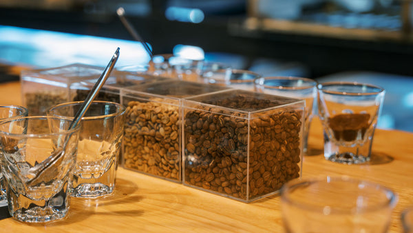 Coffee 101 Whole Bean Coffee on a wooden table