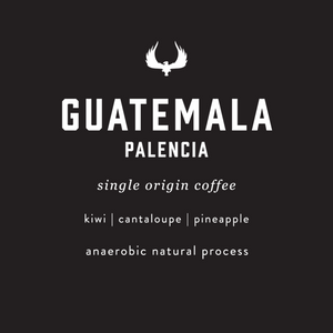 Guatemala Palencia anaerobic natural process coffee featuring notes of kiwi, cantaloupe, and pineapple. An anaerobic natural process coffee.