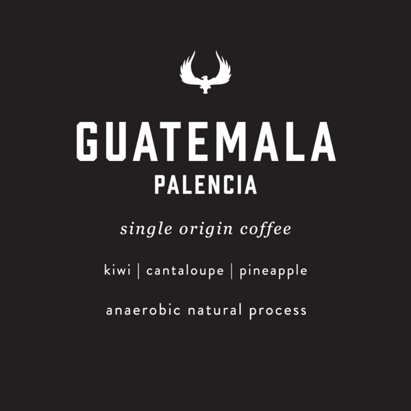 Guatemala Palencia anaerobic natural process coffee featuring notes of kiwi, cantaloupe, and pineapple. An anaerobic natural process coffee.
