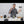Load and play video in Gallery viewer, Brazil Mogiano Coffee