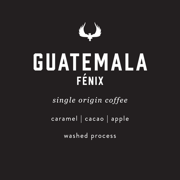 Guatemala Fenix single origin coffee by Press Coffee Roasters. Featuring notes of caramel, cacao, and apple. A washed process coffee.