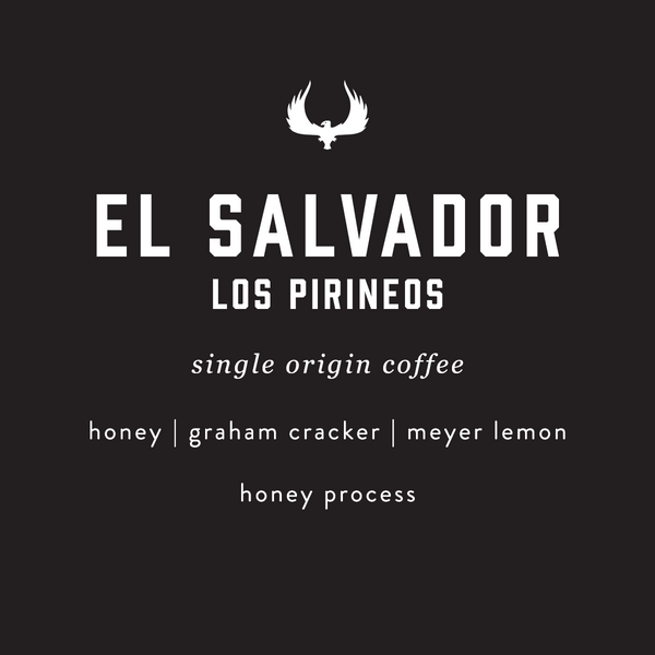 El Salvador Los Pirineos single origin coffee by PRESS Coffee Roasters. Featuring notes of honey, graham cracker, and meyer lemon. A honey process coffee. 