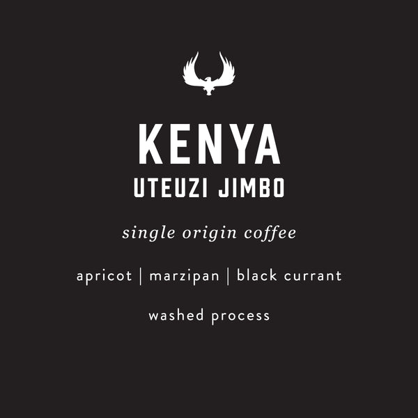 Kenya Uteuzi Jimbo