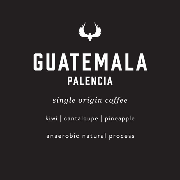 Guatemala Palencia anaerobic natural process coffee featuring notes of kiwi, cantaloupe, and pineapple. An anaerobic natural process coffee. 