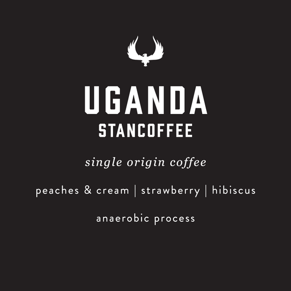 A dark charcoal graphic with white text reading 'UGANDA STANCOFFEE' and smaller text below including 'single origin coffee', 'peaches & cream | strawberry | hibiscus', and 'anaerobic process'. A white stylized bird logo appears above the main text.