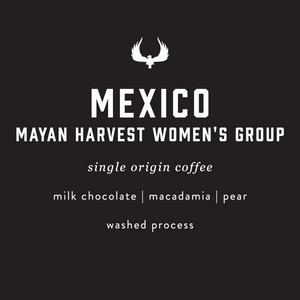 press coffee flavor notes