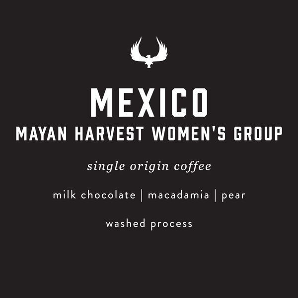 press coffee flavor notes