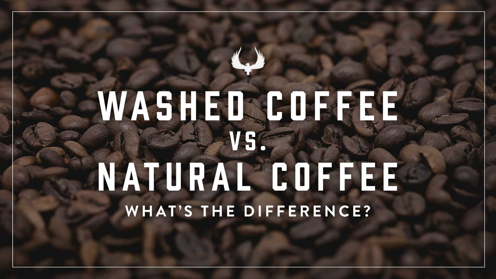 Washed vs. Natural Coffee | What's The Difference And How Do They Taste ...