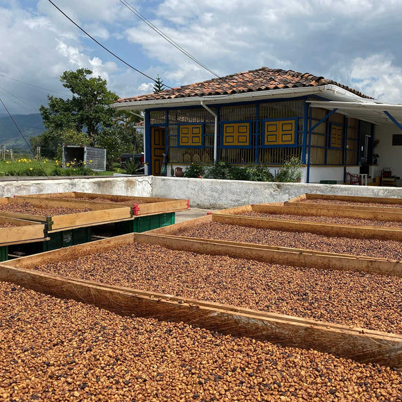 Spring Allocation 2021 - SOLD OUT | Press Coffee Roasters
