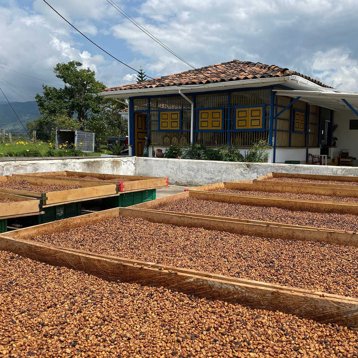 Spring Allocation 2021 - SOLD OUT | Press Coffee Roasters