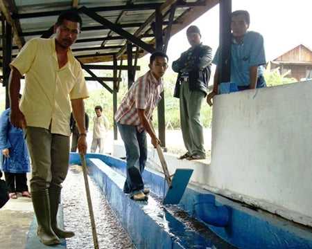 Sumatra Takengon Mandheling | Press Coffee Roasters